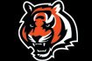audio_thumb--nfl_thumb_105_70