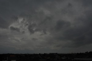 DSC_1350