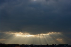 IMGP1020