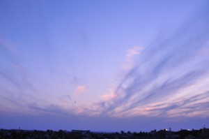 DSC_1397